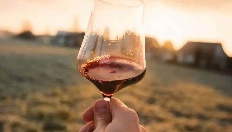 Aguascalientes Vineyards Tour - Foto 1