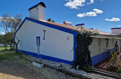 Monte das Aranhas - Foto 17