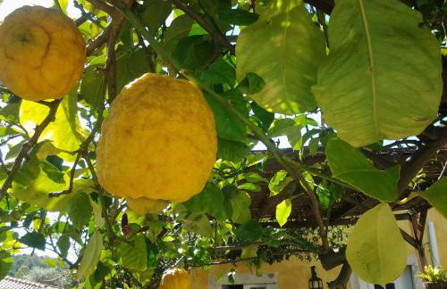 Casa do Mar - Golf Jamor - Foto 5