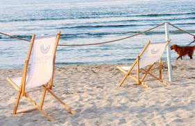 Lividus Czarna Mewa - Foto 15