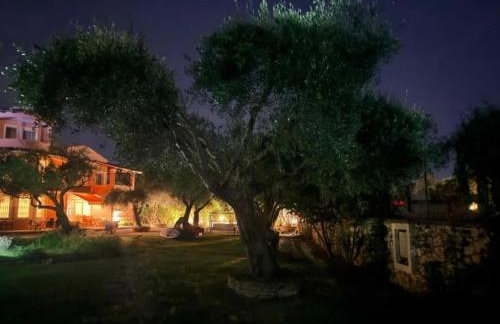 Villa Leo 1 , Dassia , Corfu - Photo 128