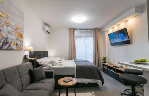 Studio Apartment Mot - Foto 1