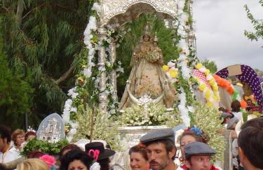 Las Navezuelas - Photo 79