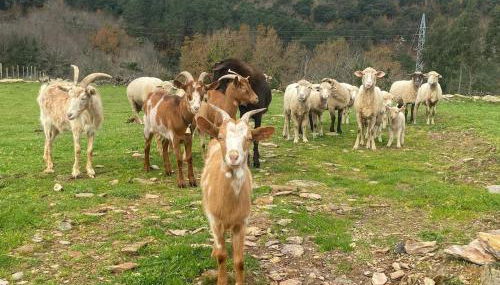 casa de campo - Foto 4