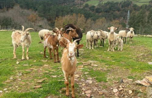 casa de campo - Foto 4