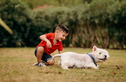 Agroturismo Can Guillem - Photo 30