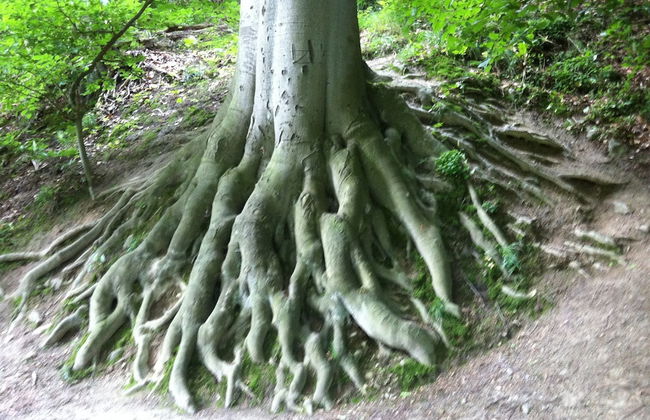 Living in the old Granary - Foto 28