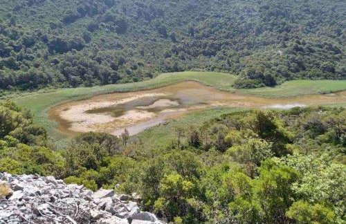 LILY's Peaceful Oasis- BRAND NEW - Foto 30