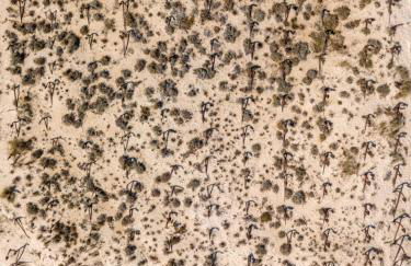 Apartamento 157, Pedras d’el Rei - Foto 52