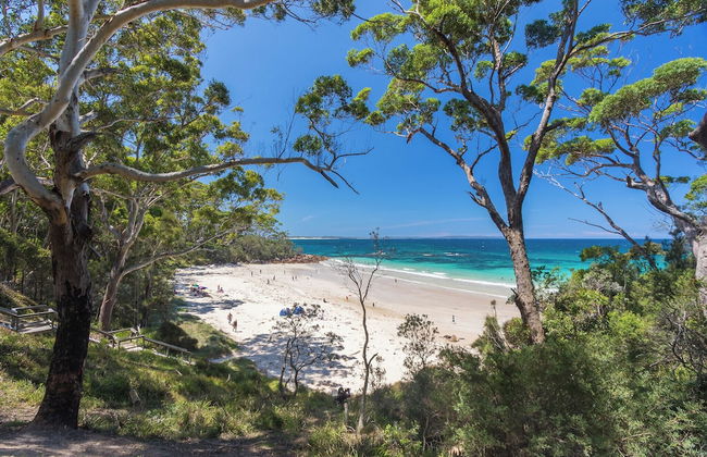 Bay and Bush, Jervis Bay - Photo 56