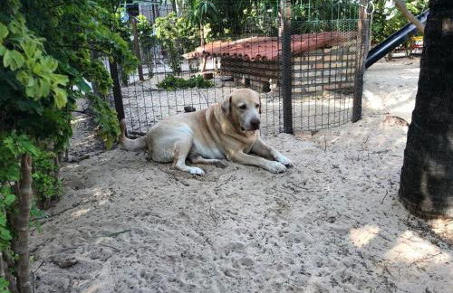 Chacara do Alemao - Foto 43