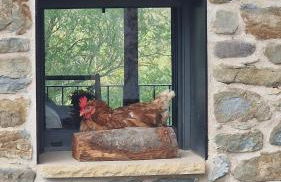 La Cabanya de Can Ganasta - Photo 35