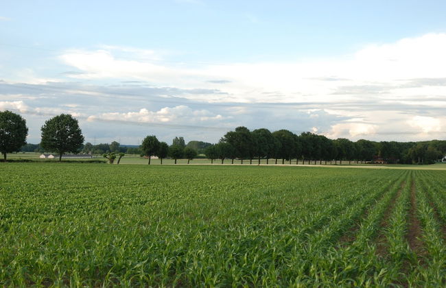 Apartment in Posterholt Near Meinweg Park - Photo 34