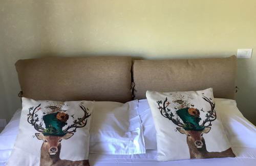 La cerbiatta - Foto 34