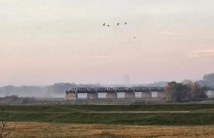 Zur Zitadelle - Foto 21