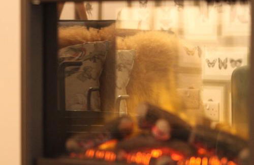 Woodpecker Lodge - Brook Meadow - sleeps 4 plus 2 - no pets - Foto 7