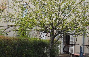 La Ptite Fabrique chez Malot - Foto 1