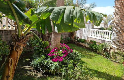 Apartamentos Los Delfines - Foto 74