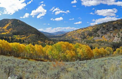 New for 2025 Chalet Homestake View - Foto 38