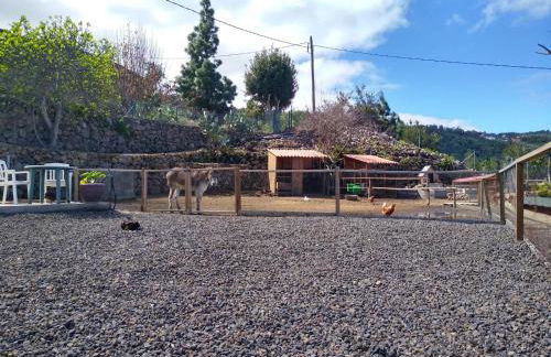 Los Huertos Conect with the nature & relax - Foto 68