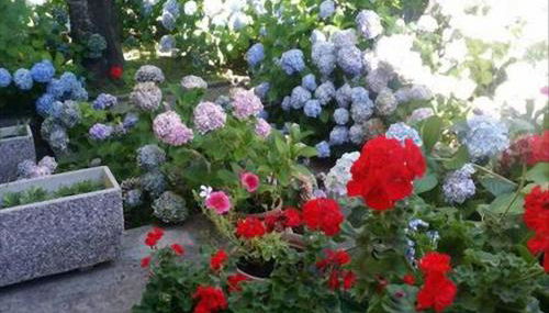 La Villetta In Montagna - Foto 3, Garden view