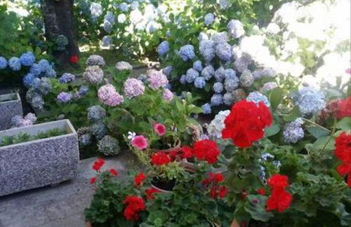 La Villetta In Montagna - Foto 3