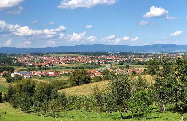 Rural Homestead Trenkovo - Foto 23