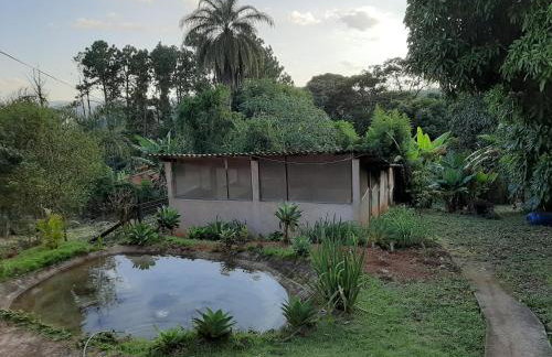 Sitio Carvalho da Serra - Photo 14