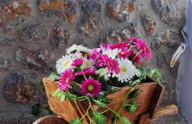 FILINA's luxury house - Foto 33