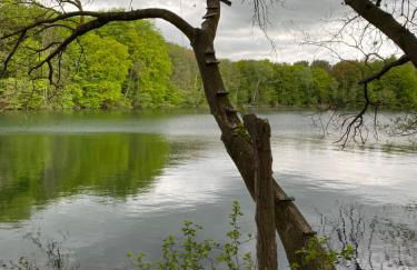 Ferienwohnung Plaue Auszeit mit Privatstrand und Bootsliegeplatz - Foto 30