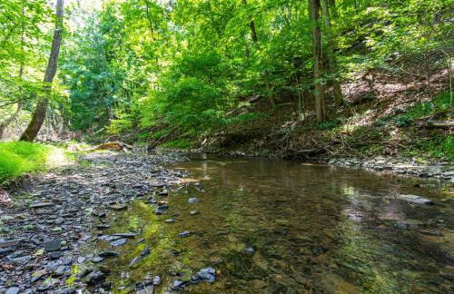 Cozy cabin w hot tub, deck & BBQ - Foto 31