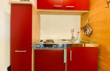 Gartenapartment auf der Höri in Wangen - Foto 4