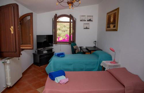 Tenuta Severino - Foto 19