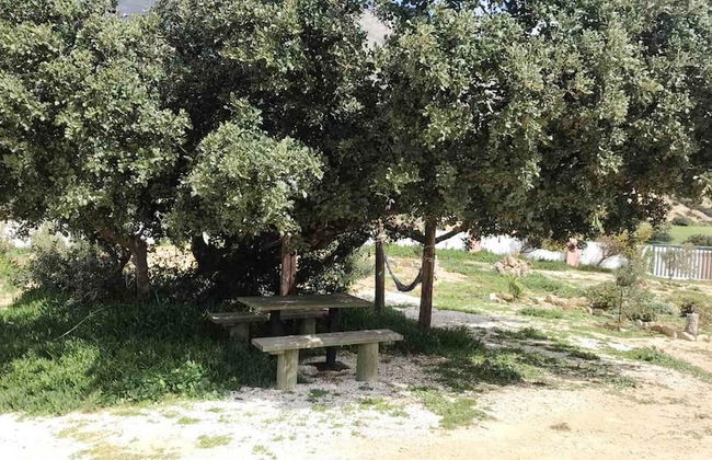 Emmanuela House With Garden and sea View- Triopetra - Photo 39