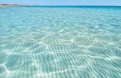 Villa Ducale - Foto 16