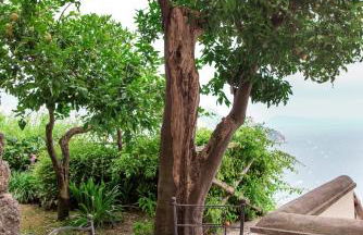 Villa San Cosma - Foto 69