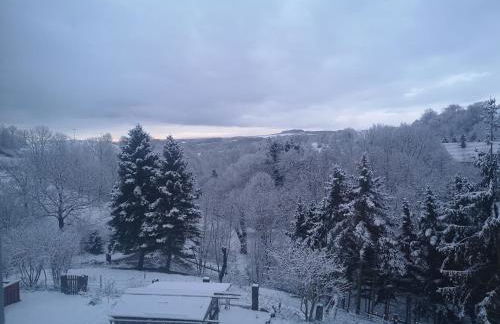 Gutshof und Ferienwohnung Proft - Foto 40