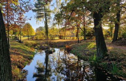 Apartment Leopold - Foto 34