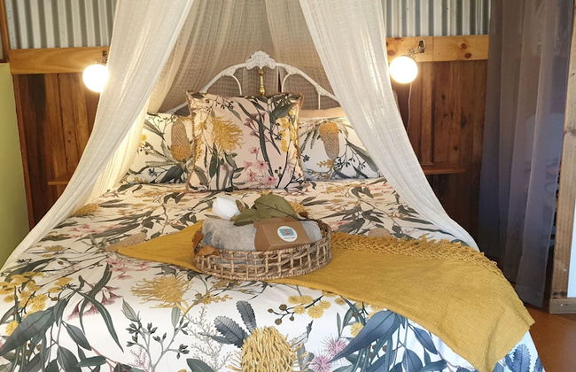 Fig Tree Retro Studio - Foto 20