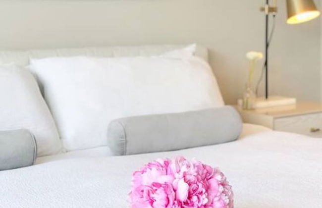 Downtown Luxury - 10 Beds Free Parking - Foto 15