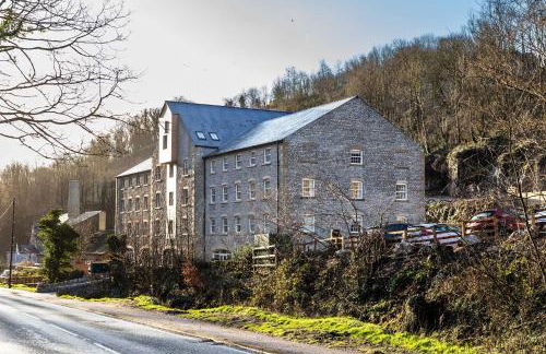 Rock Mill Studio Apartment 9 - Photo 73