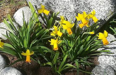 Riccadonna house Residenza Jolly - Photo 20