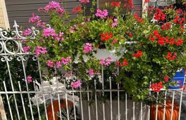 Anna9 - Penthouse Suite nahe Legoland Günzburg - Foto 11