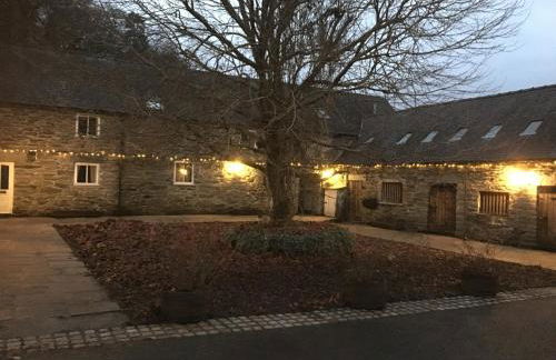 Bryn Melyn Farm Cottages - Foto 50