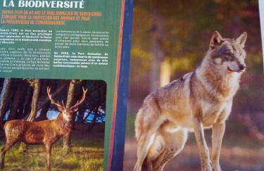 L'OASIS maisonnette centre ville 3 chambres terrasse espace vert privé parc sainte croix center parc 20 minutes - Foto 20