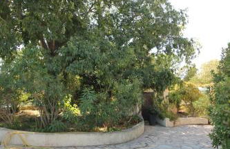 Le Jardin du Somail - Foto 8