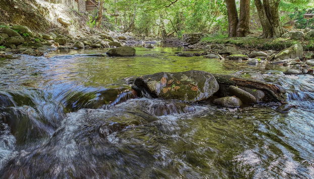 Creek Heaven - 2 Bedrooms, 2 Baths, Sleeps 6 Cabin by RedAwning - Foto 2, Profilbild