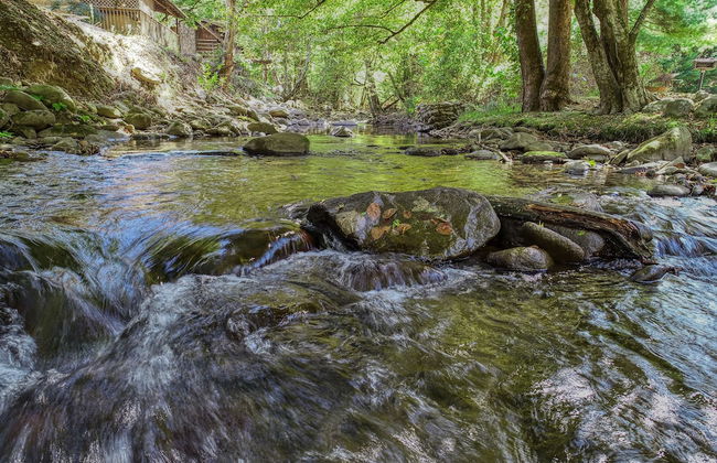 Creek Heaven - 2 Bedrooms, 2 Baths, Sleeps 6 Cabin by RedAwning - Foto 1