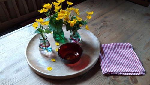 Altes Forsthaus - Foto 4