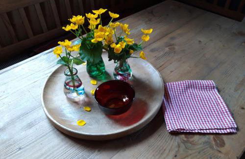 Altes Forsthaus - Foto 4